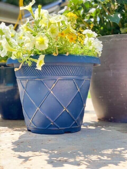Plastic planter painted with blue chalk paint and filled with flowers