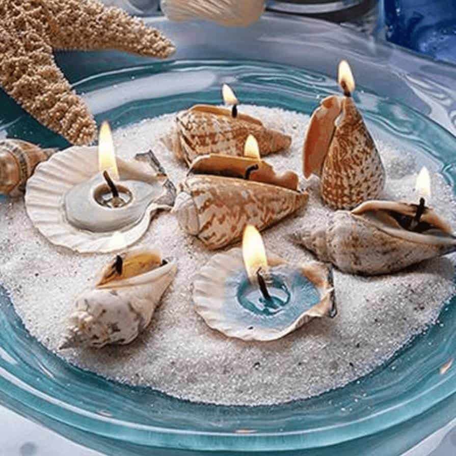 Seashell Candle Display