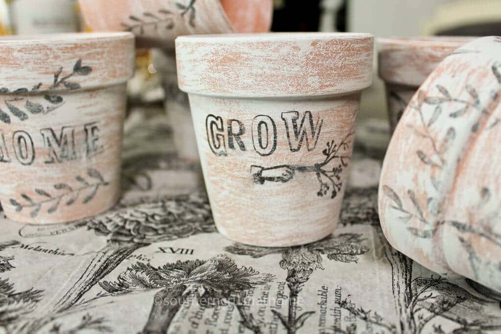 dollar tree stamped terra cotta pots with grown stamped on it