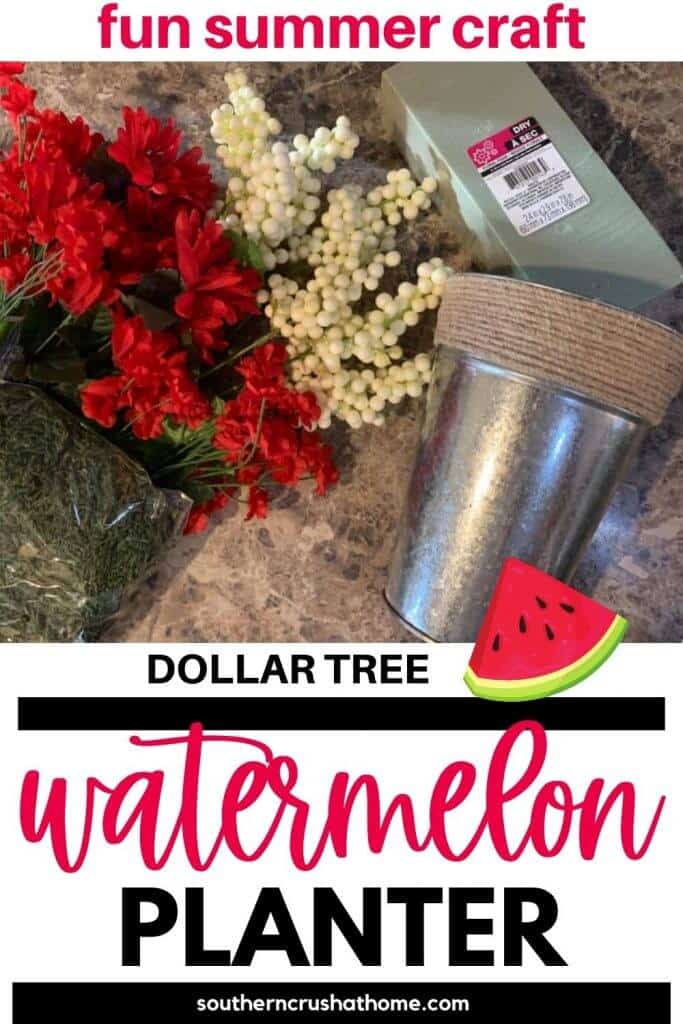 DT Watermelon Planter PIN