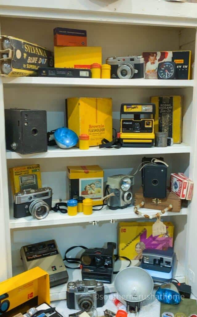 vintage camera collection display