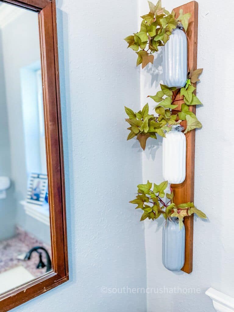 plant wall decor with vases