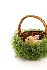 greenery Easter basket