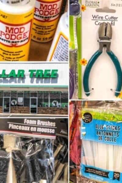 dollar tree supplies