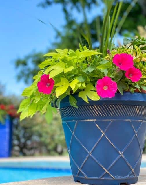 Planter painted in chalk paint with blue and gold and filled with pink flowers and greenery 