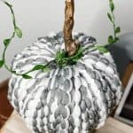 dt-mop-head-pumpkin-diy-closeup