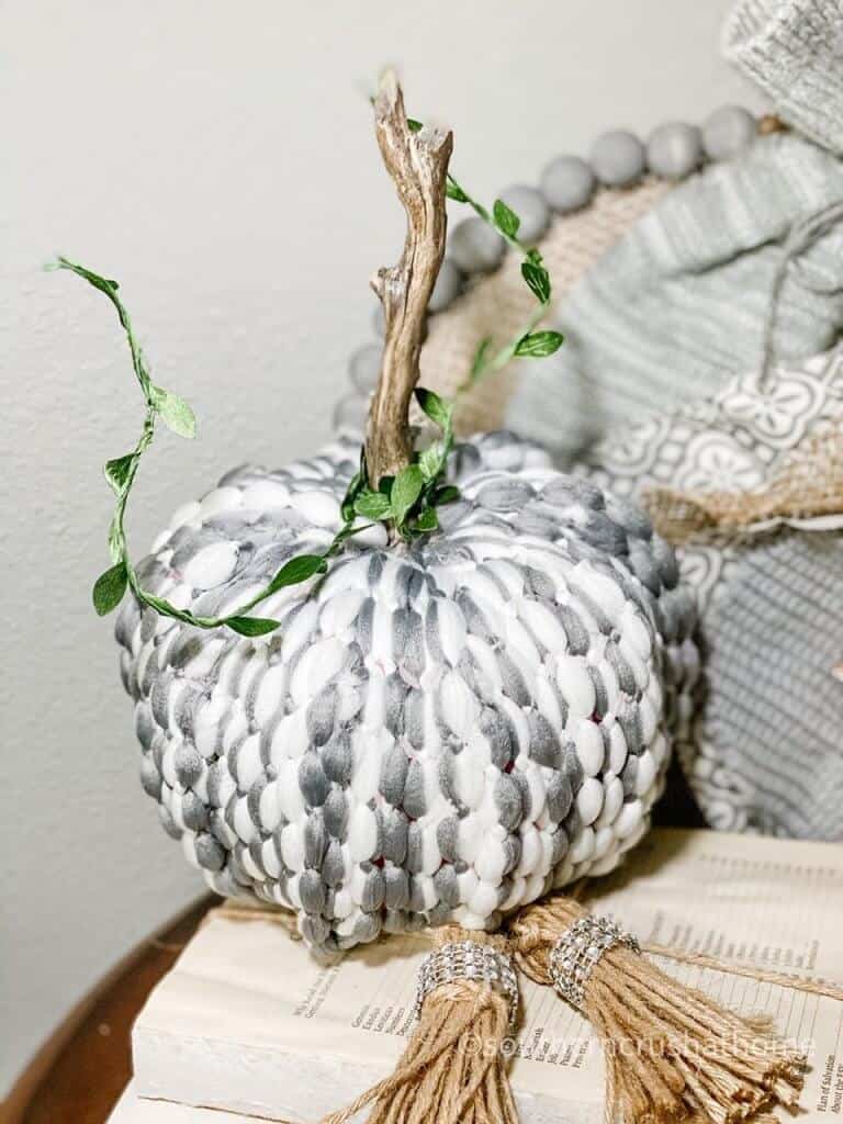 dt-mop-head-pumpkin-diy-original