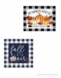 Fall Faux Pumpkin Printable Samples