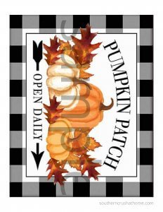 Fall Faux Pumpkin Printable Samples