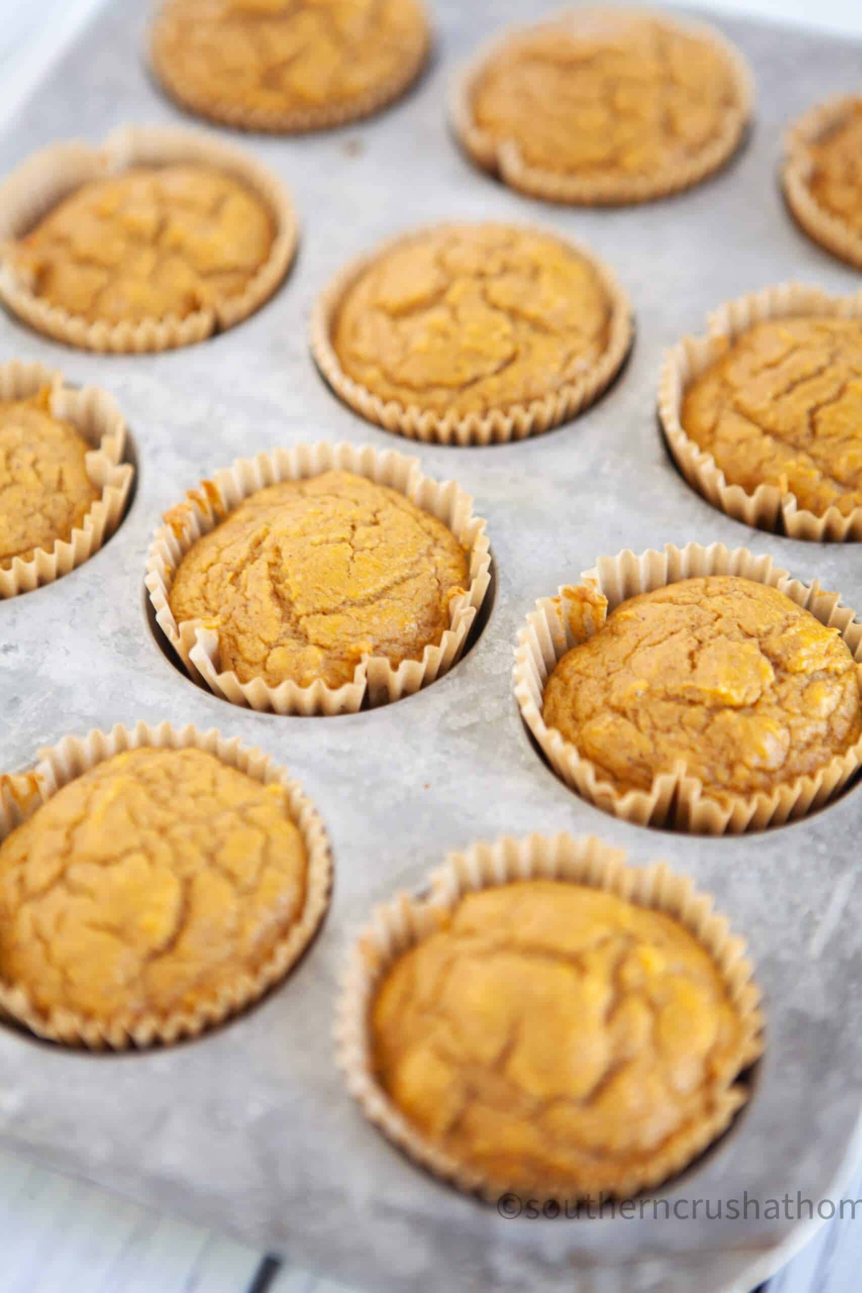 3 ingredient pumpkin muffins close up in pan