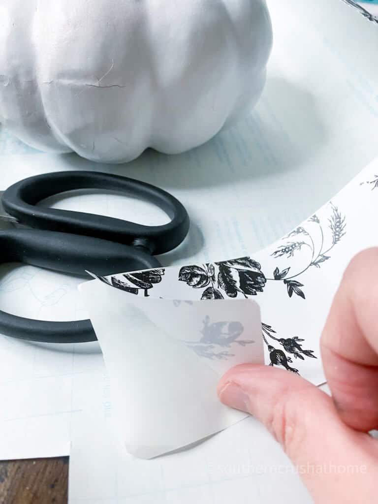 black and white floral pumpkin contact paper strips