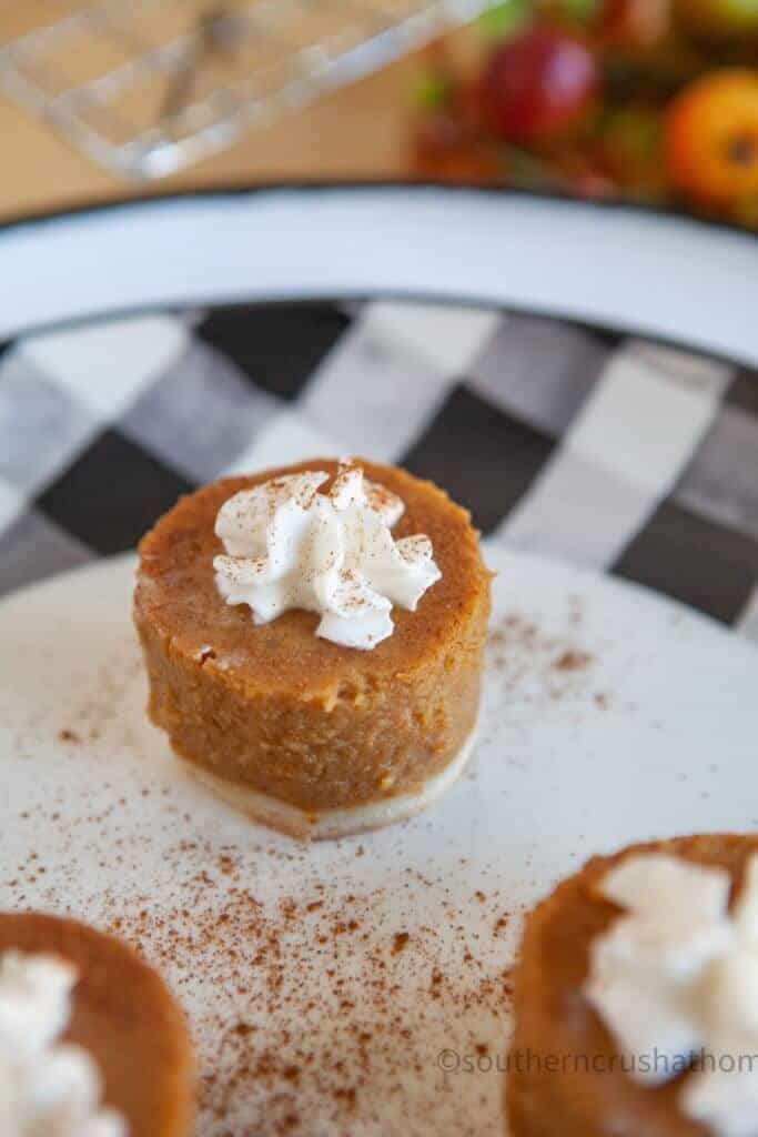 Mini Pumpkin Pies Shortcut closeup single pie