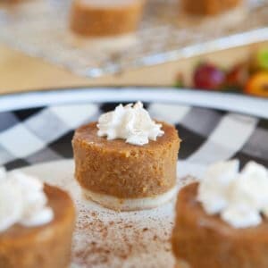 Mini Pumpkin Pies Shortcut final styled close up