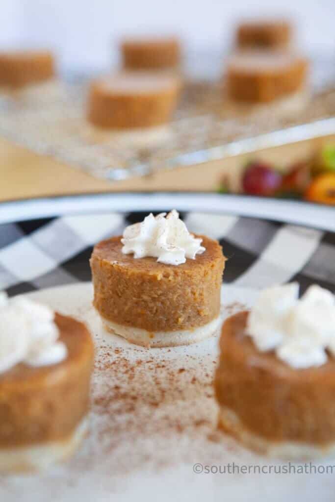 Mini Pumpkin Pies Shortcut final styled close up
