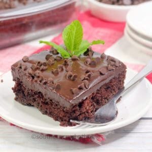 Chocolate Mint Texas Sheet Cake Close up