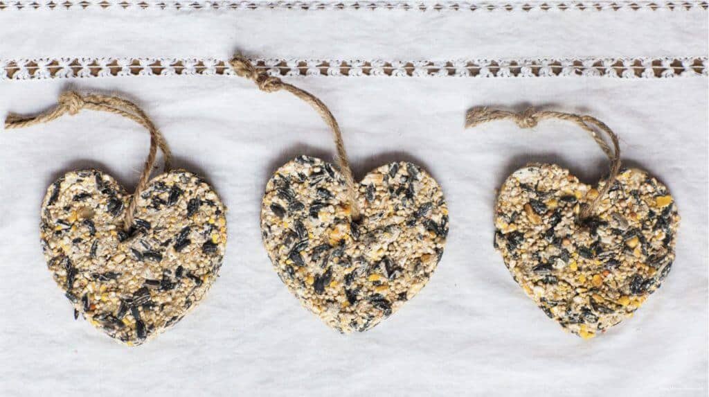 heart shaped bird feeders