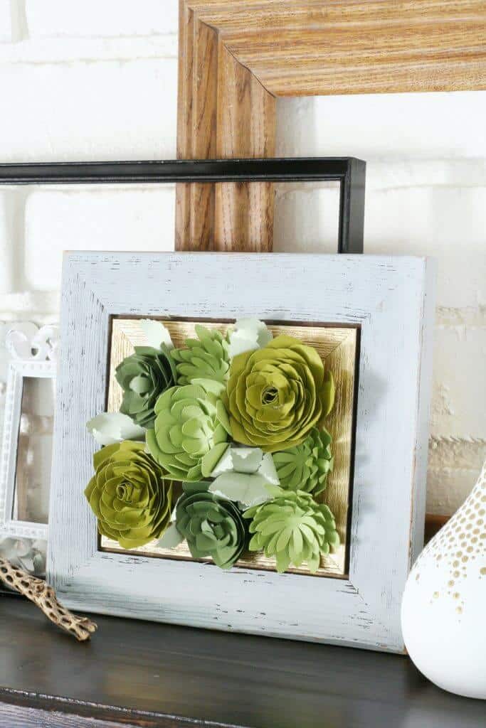 Framed-Succulents