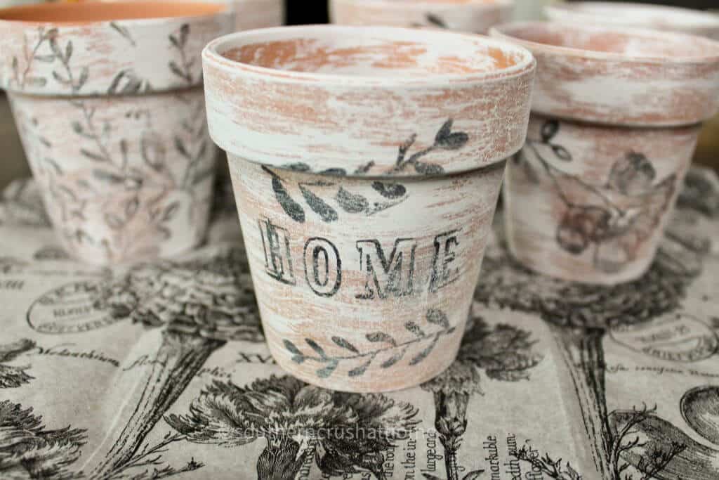 Dollar Tree Stamped Terra Cotta Pots with Home