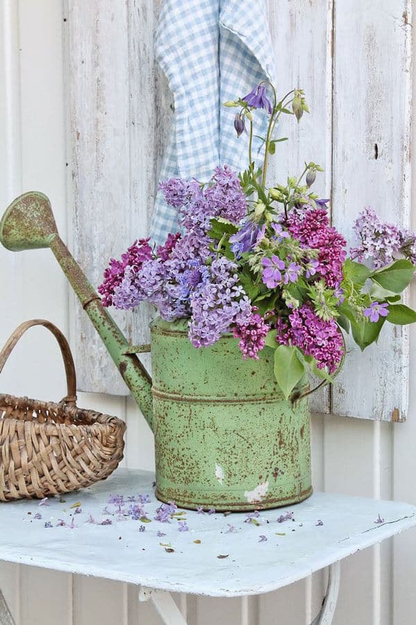 vintage watering can planter