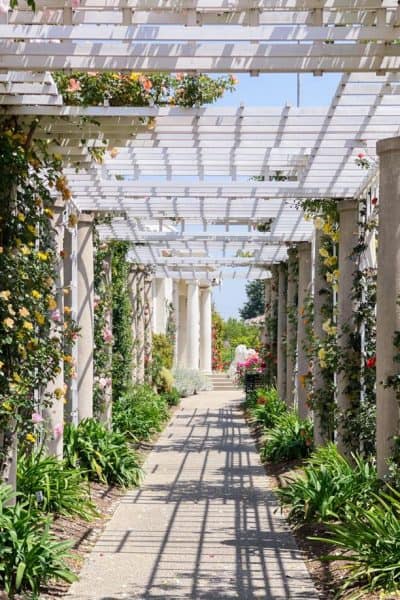 beautiful arbor garden