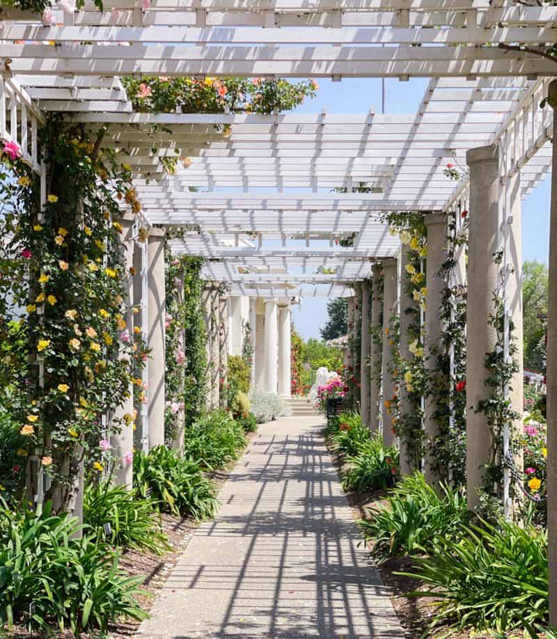 beautiful arbor garden