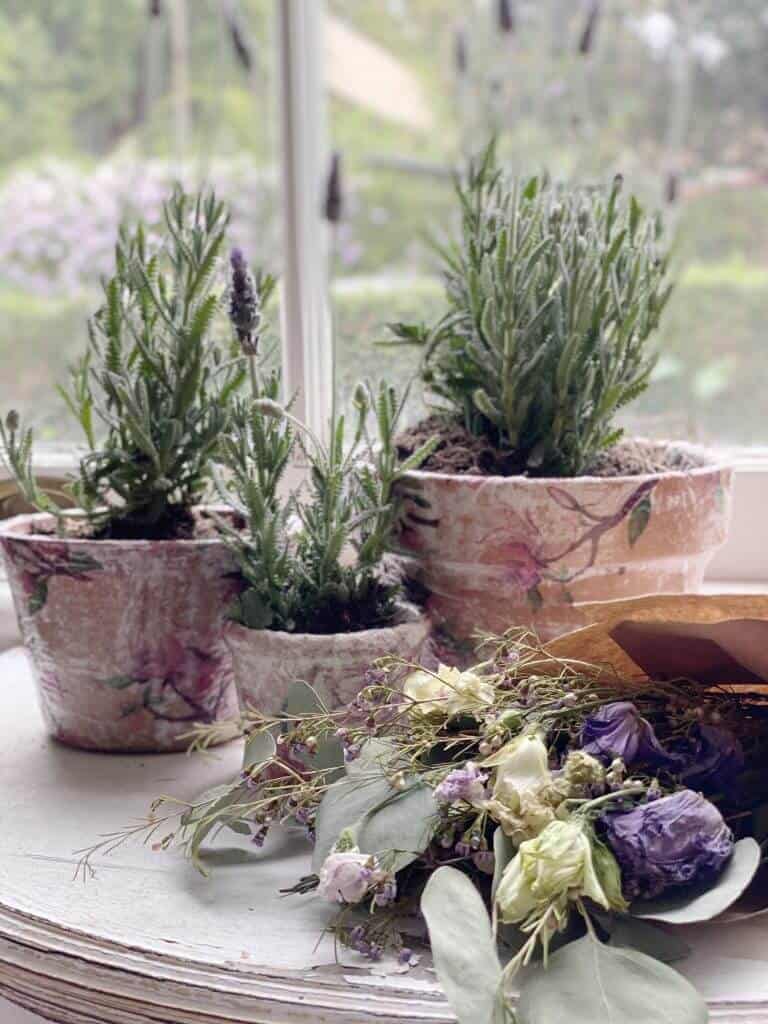 decoupage terracotta pots with lavender