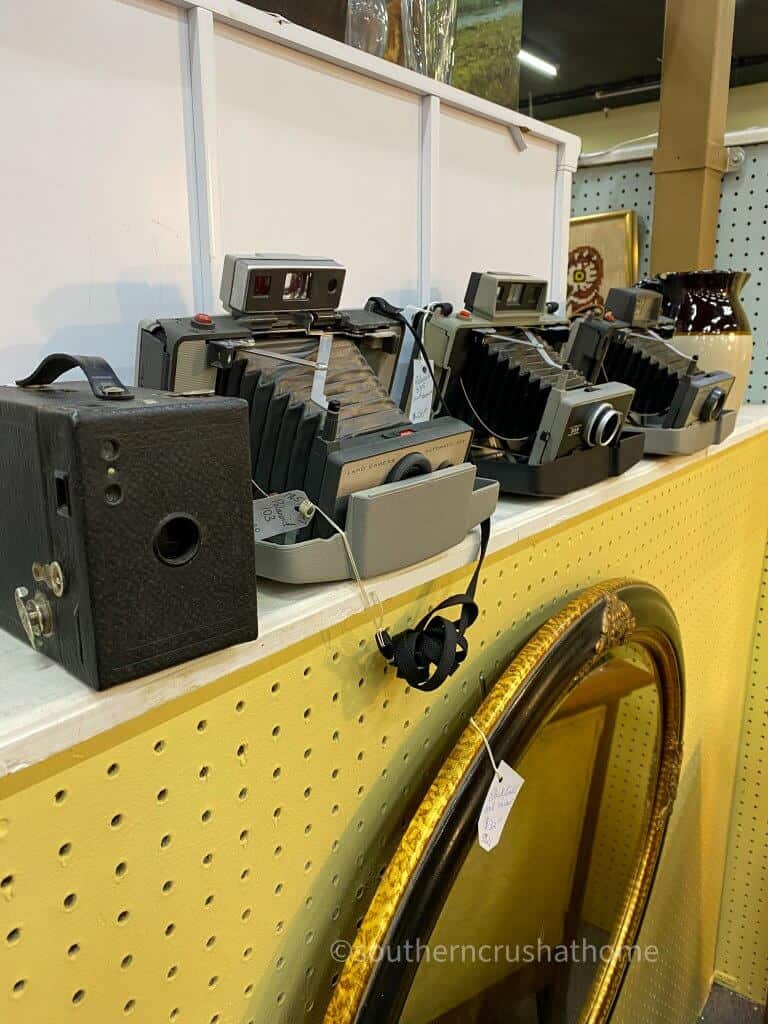 vintage polaroid cameras