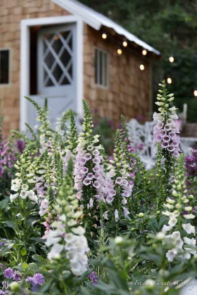 diy potting shed with flowers