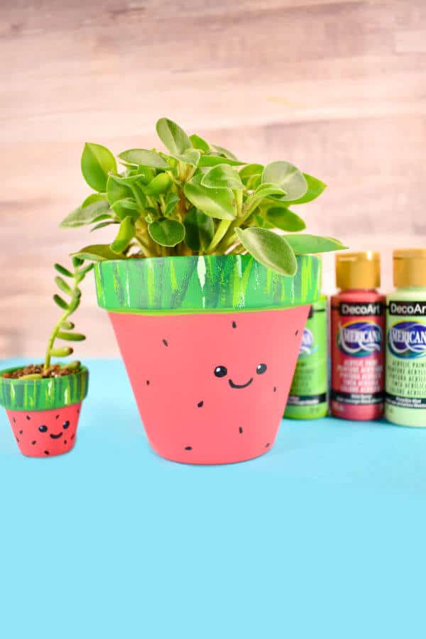 diy watermelon planter