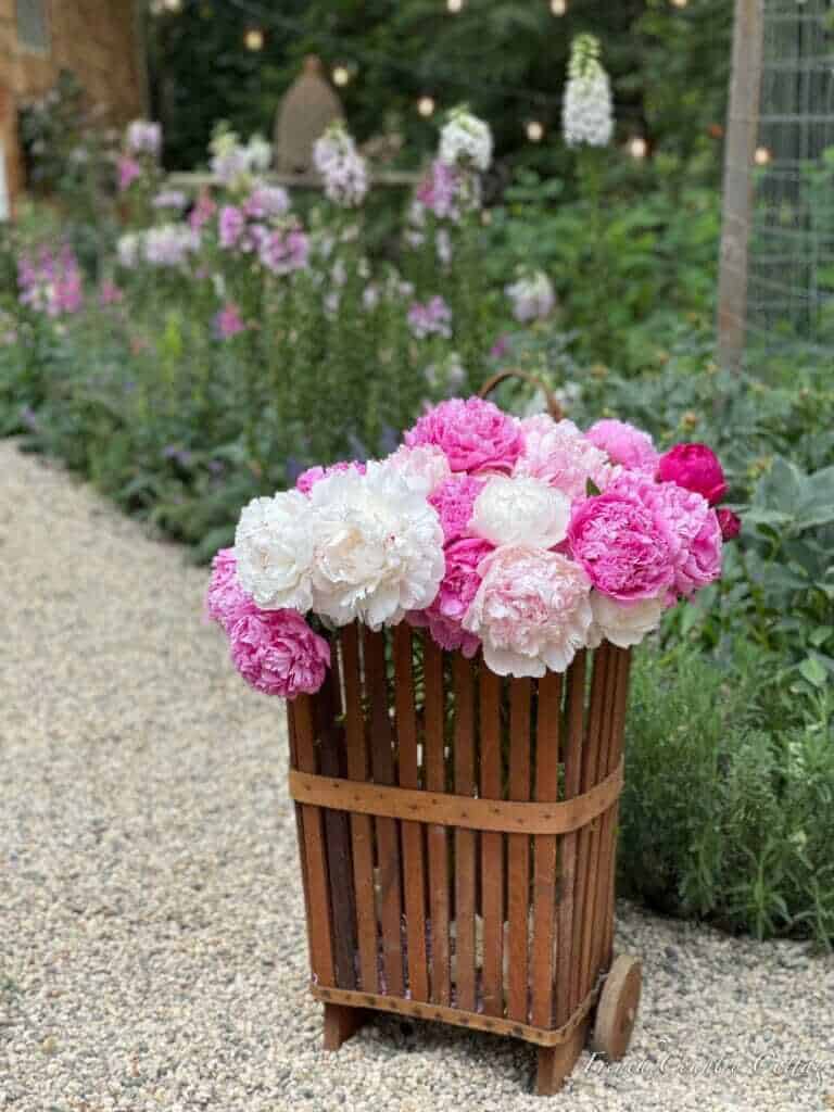 basket with summer flowers