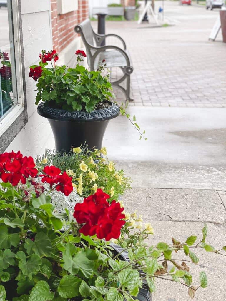 park bench and flowers