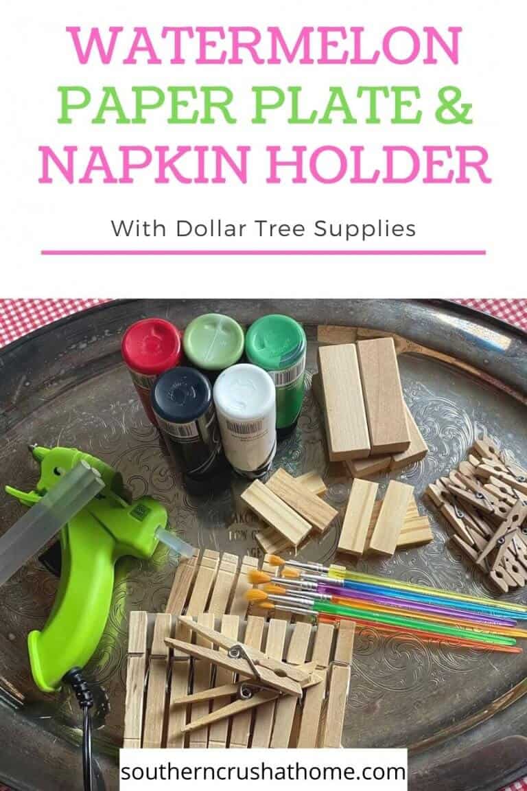 How To Make A Dollar Tree Picnic Paper Plate/Napkin Holder