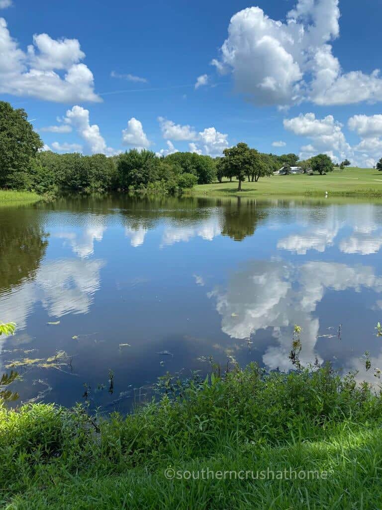 turtle hill golf course water feature