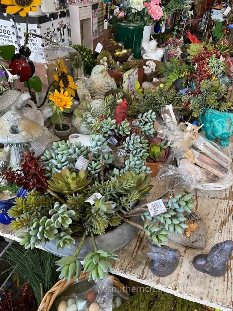 succulents