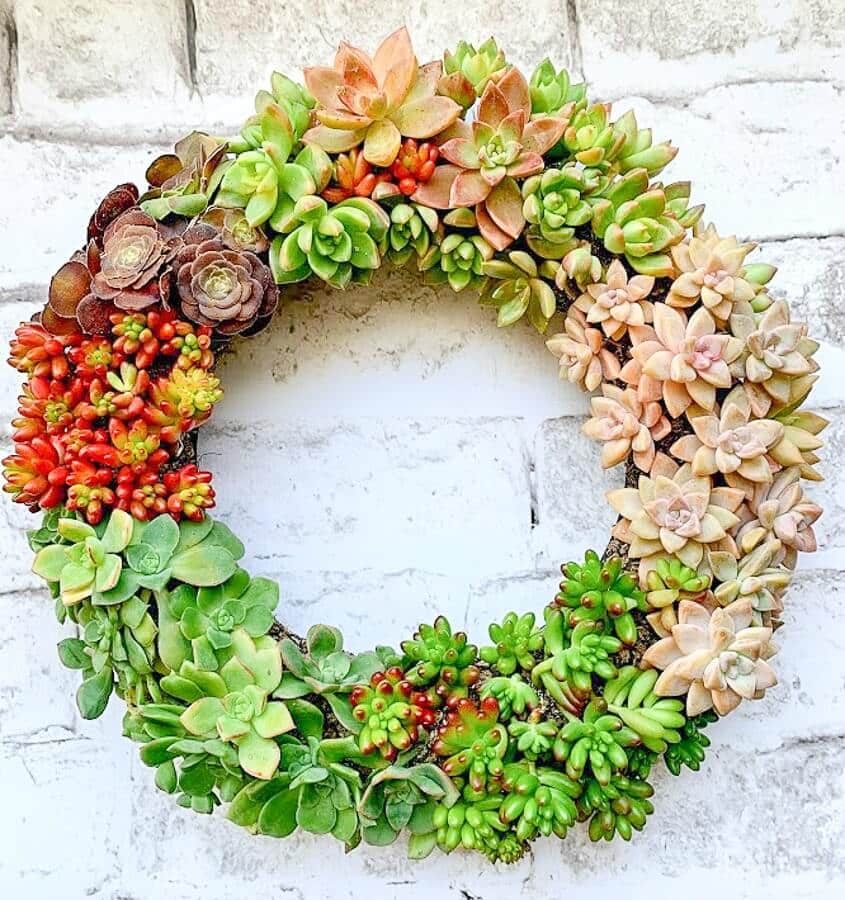 succulent wreath