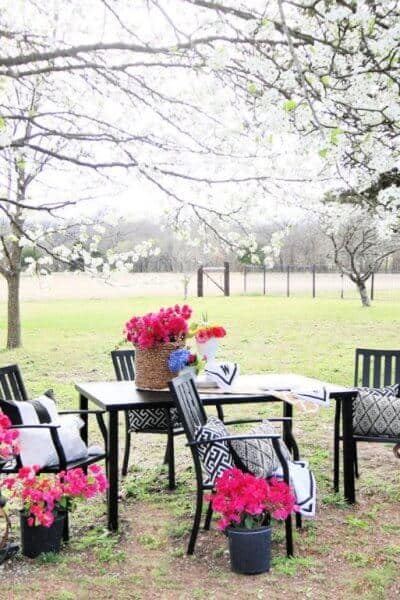outdoor garden space
