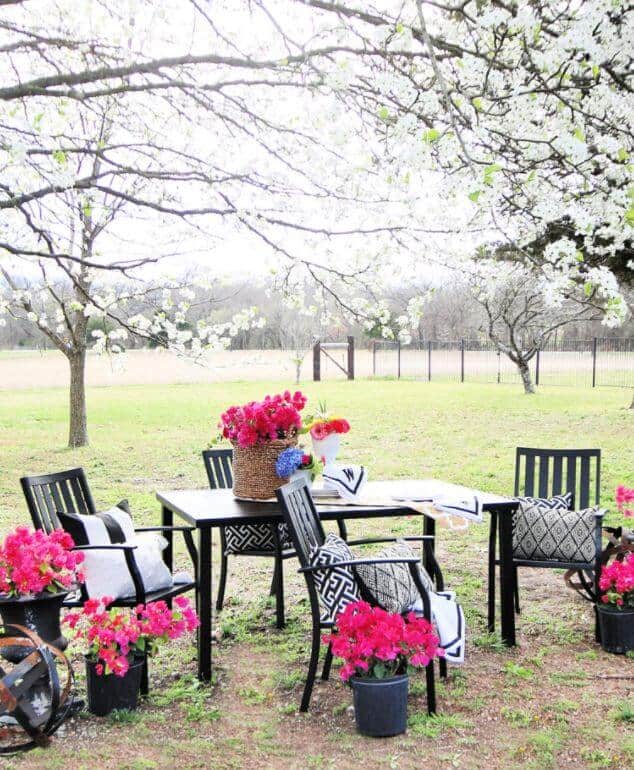 outdoor garden space