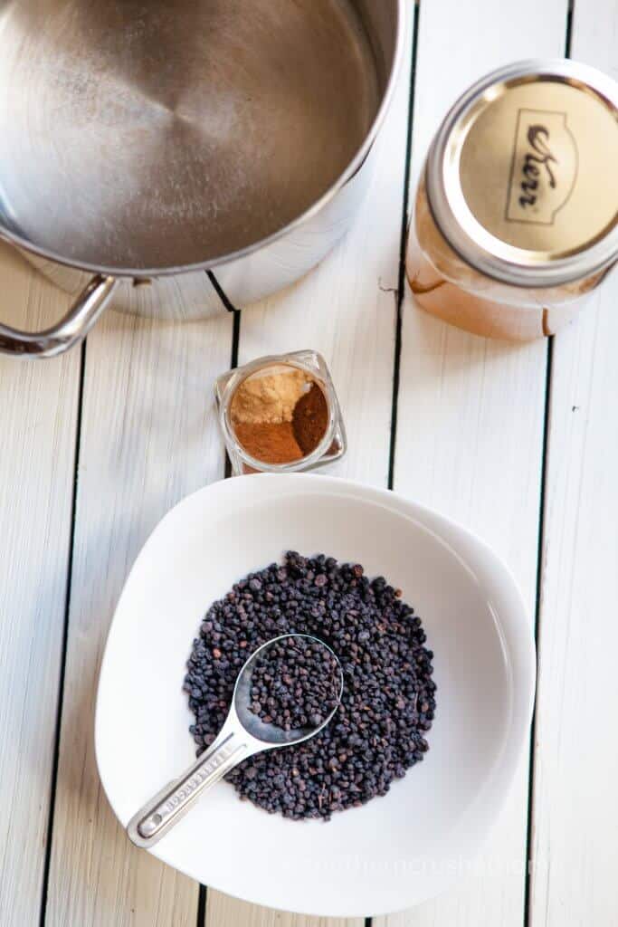 elderberry syrup ingredients