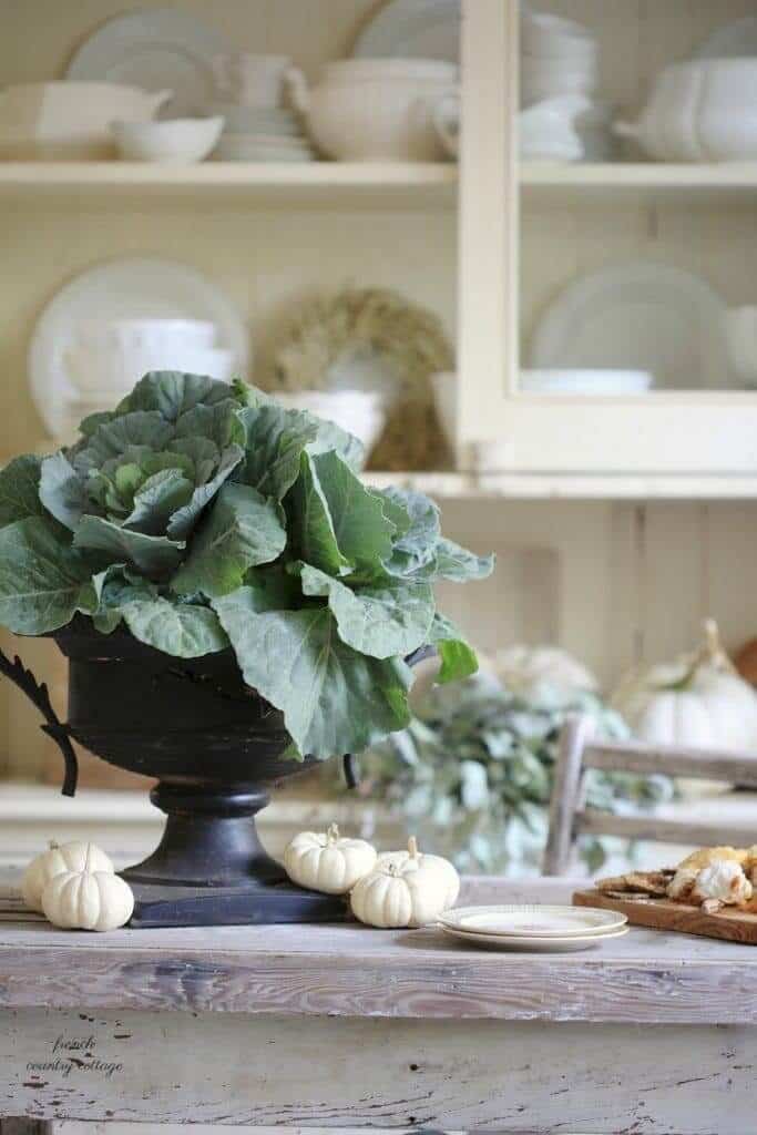 early fall decor cabbage and white pumpkins