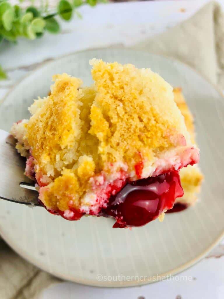 cherry cheesecake on fork