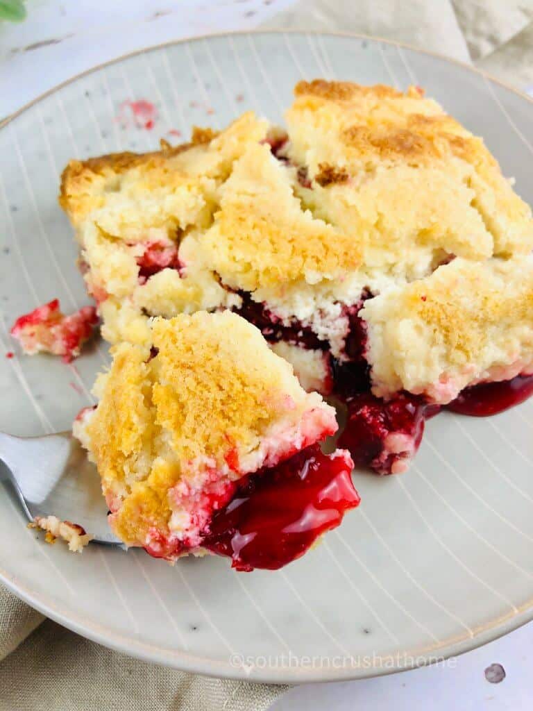 taking a piece of cherry cheesecake with fork