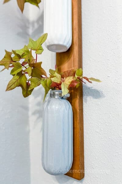 plant wall decor close up