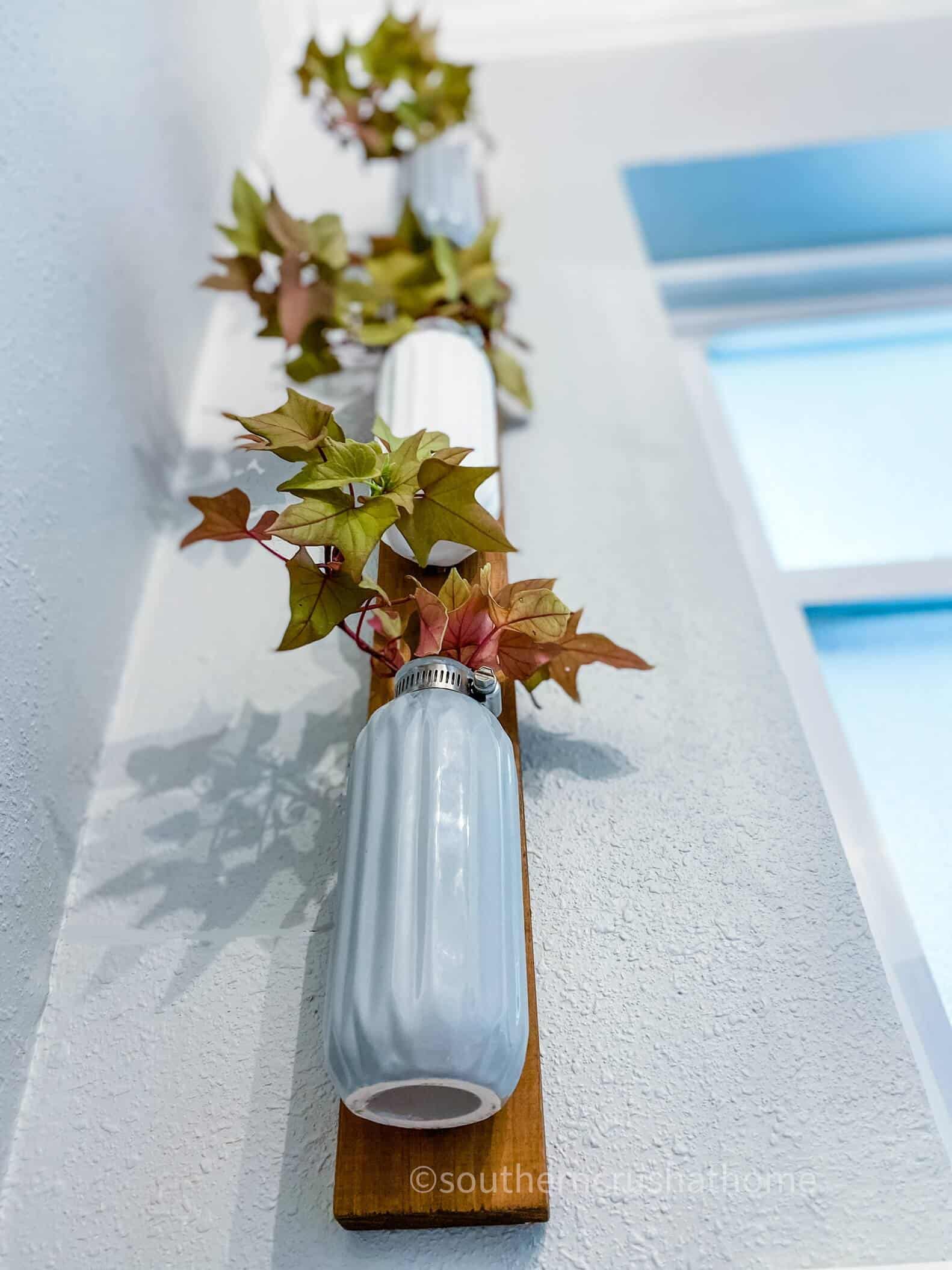 view looking up at dollar tree vases