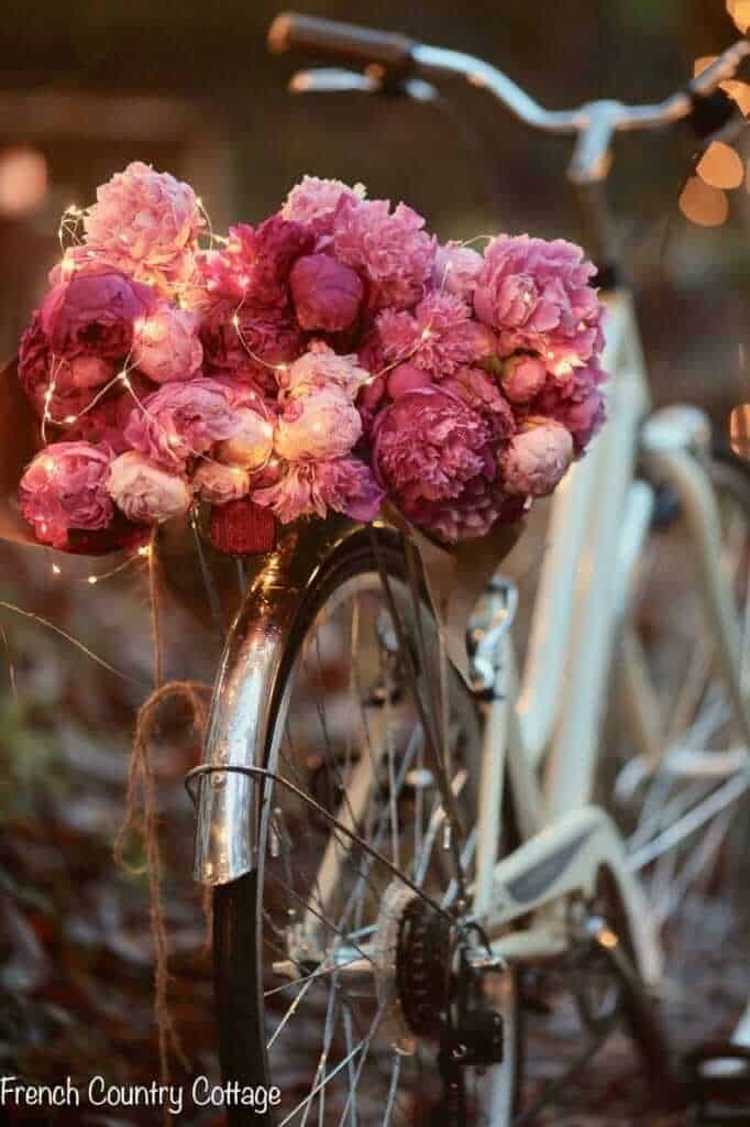 flowers with lights on bike