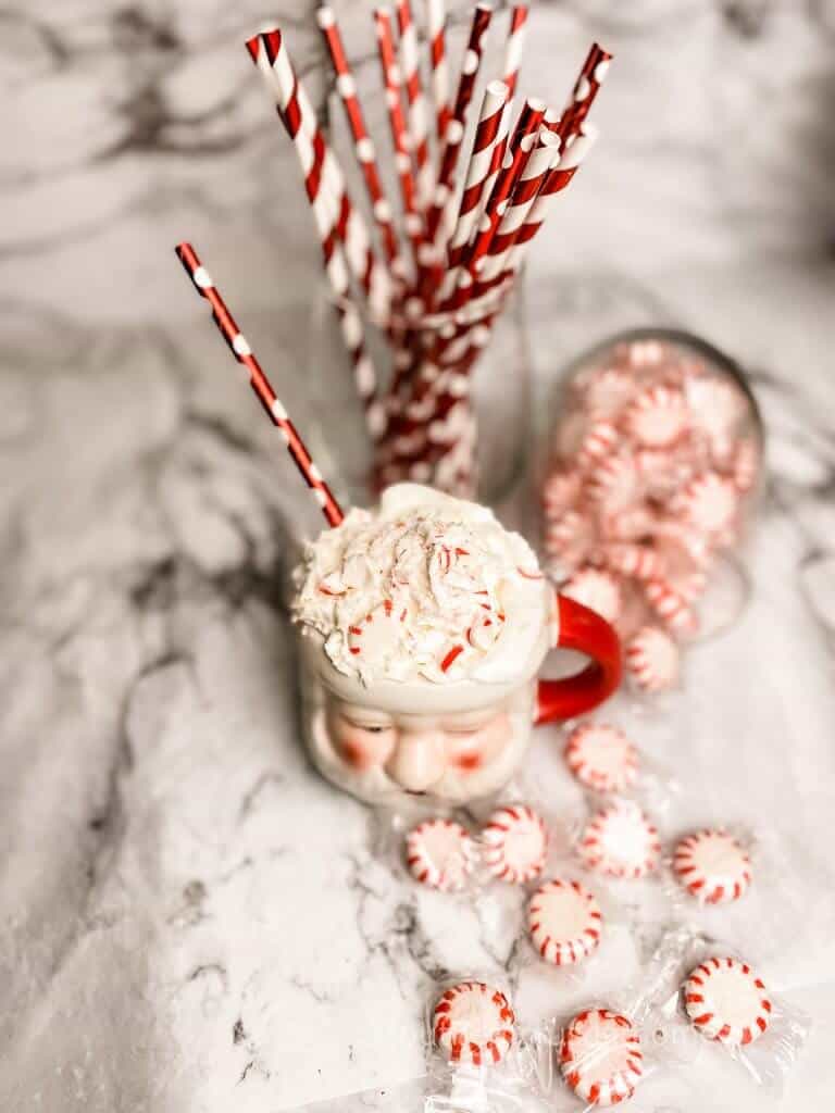 overhead view of peppermint toppings in santa mug