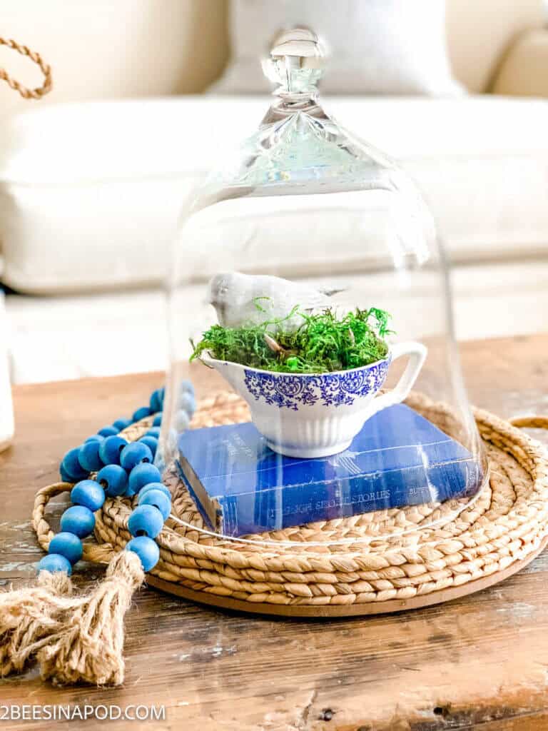 winter vignette
