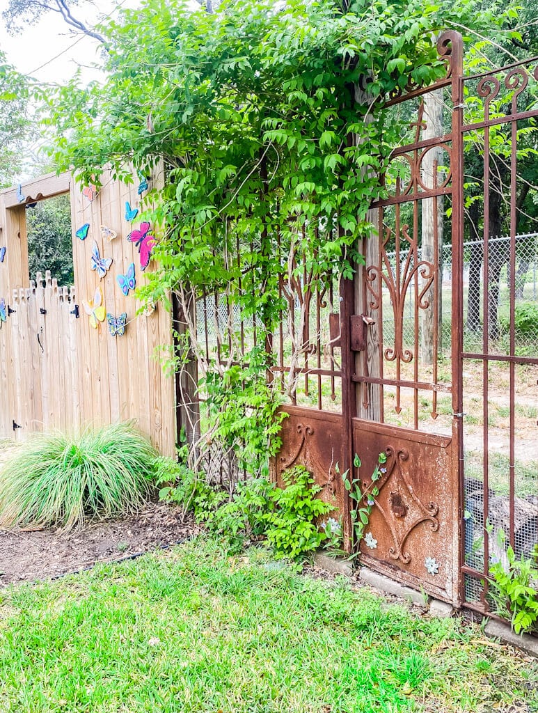 gate at annabellas studio