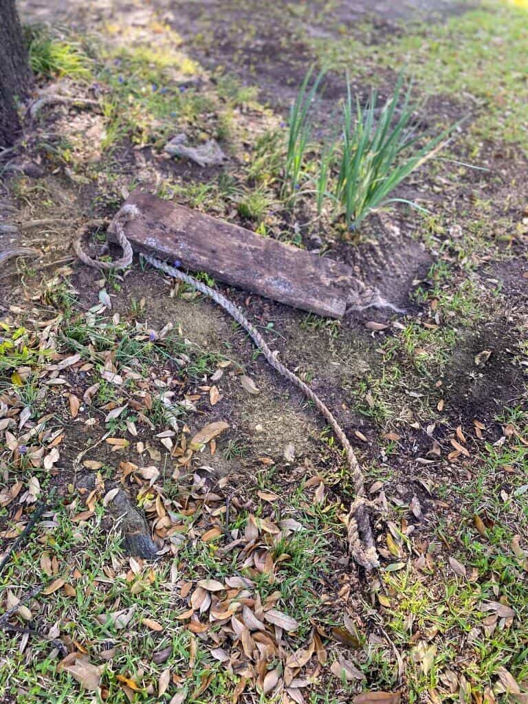 old broken tree swing with rotted rope