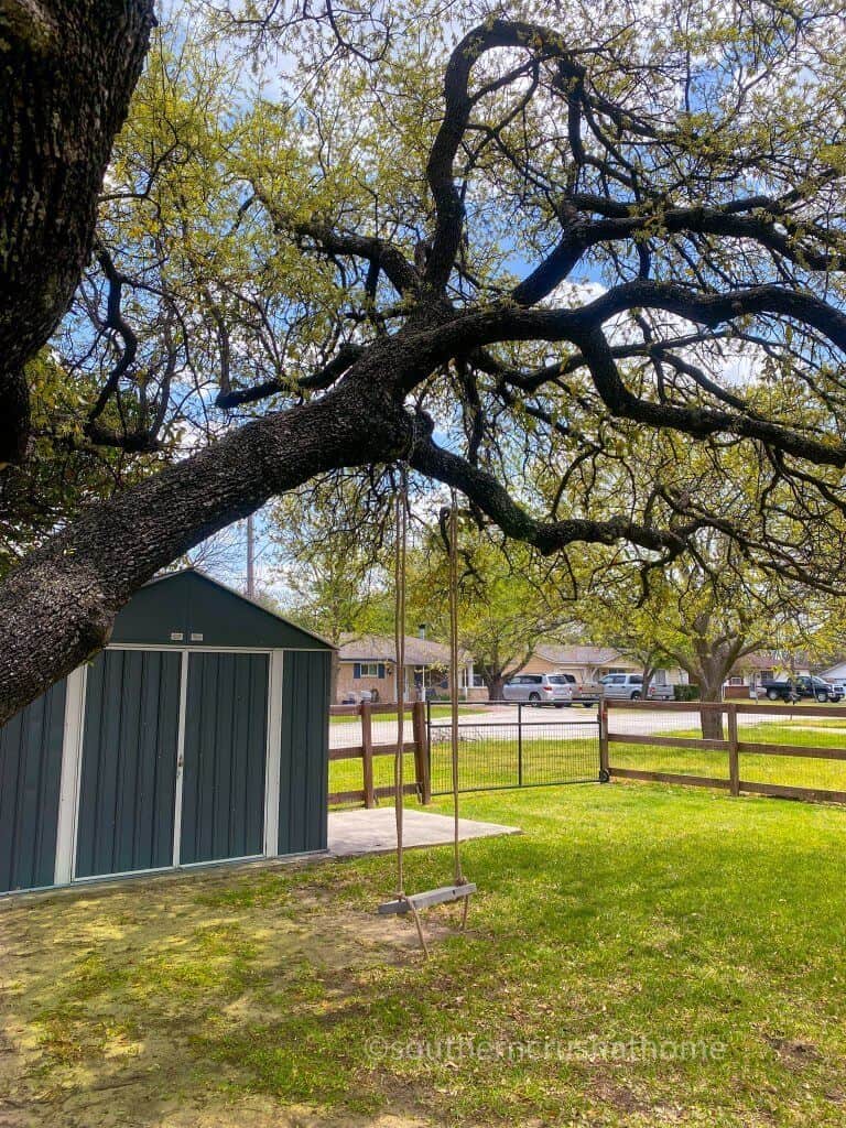 yard shown with diy tree swing