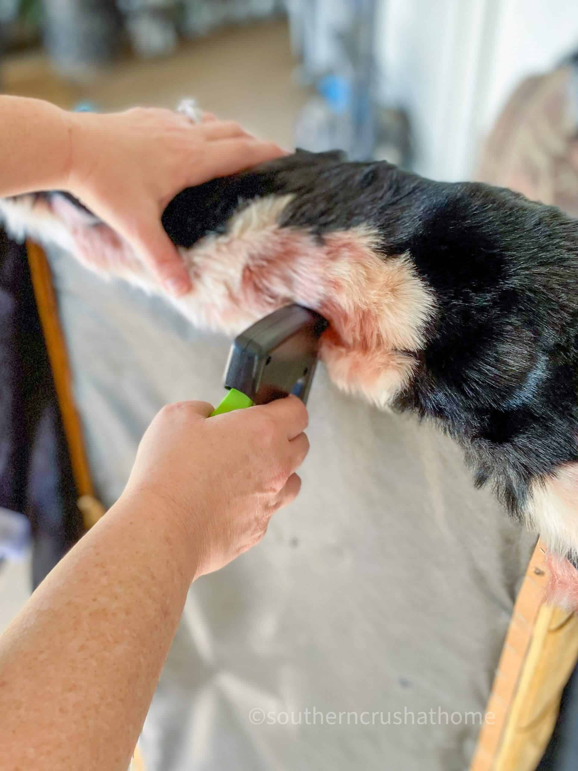 How to Reupholster a Couch (Without Removing the Old Fabric)